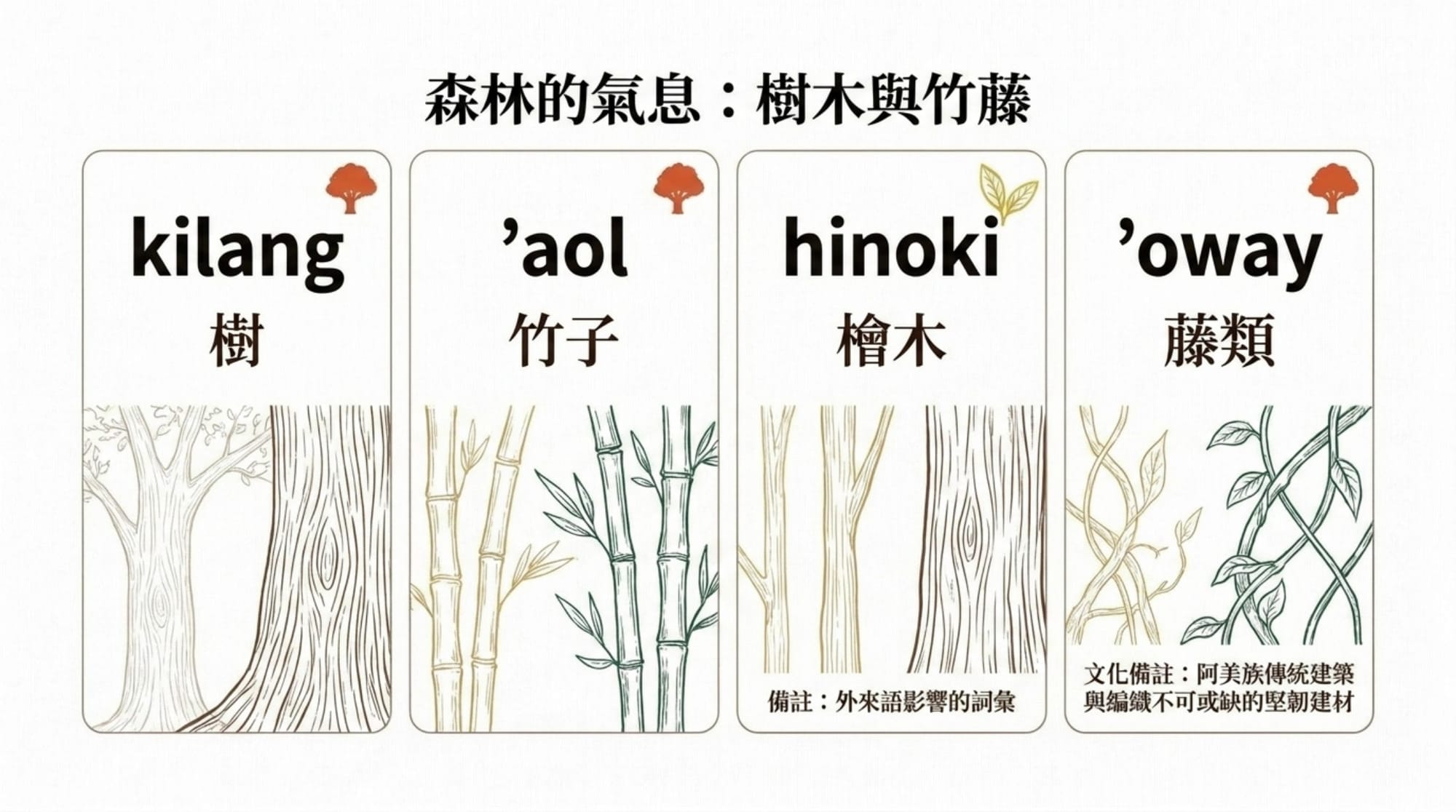 植物詞彙簡報 第 10 頁