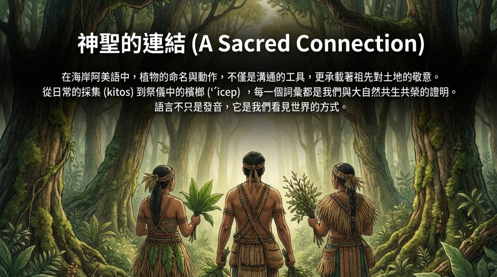 植物詞彙簡報 第 14 頁