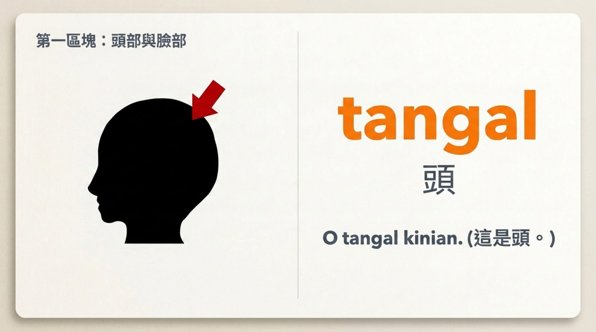 身體部位簡報 第 3 頁：tangal 頭