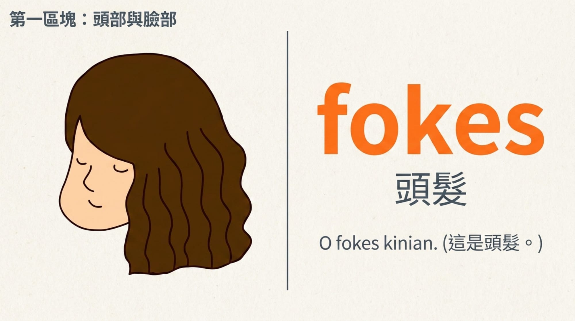 身體部位簡報 第 4 頁：fokes 頭髮