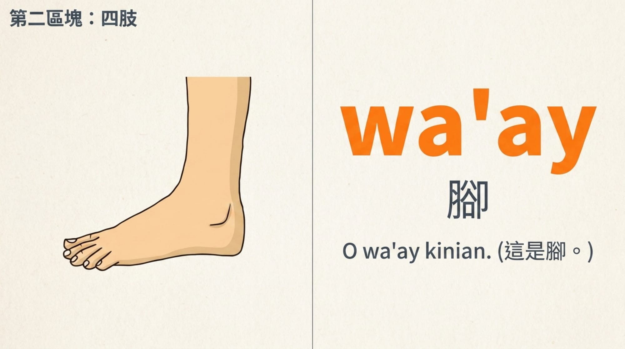 身體部位簡報 第 8 頁：wa'ay 腳
