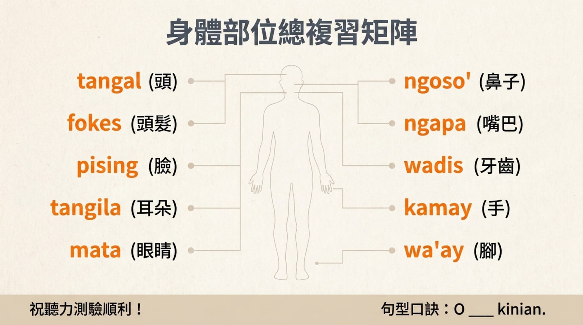 身體部位簡報 第 10 頁：身體部位總複習矩陣（全 10 詞）