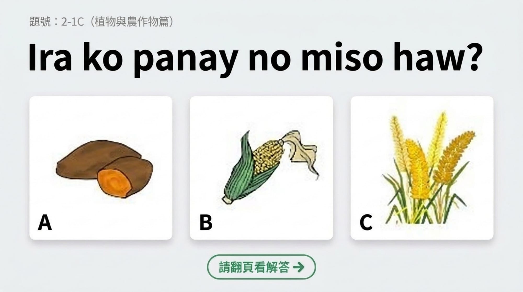 擁有句簡報 第 8 頁：題目 2-1C（植物與農作物篇）：Ira ko panay no miso haw?