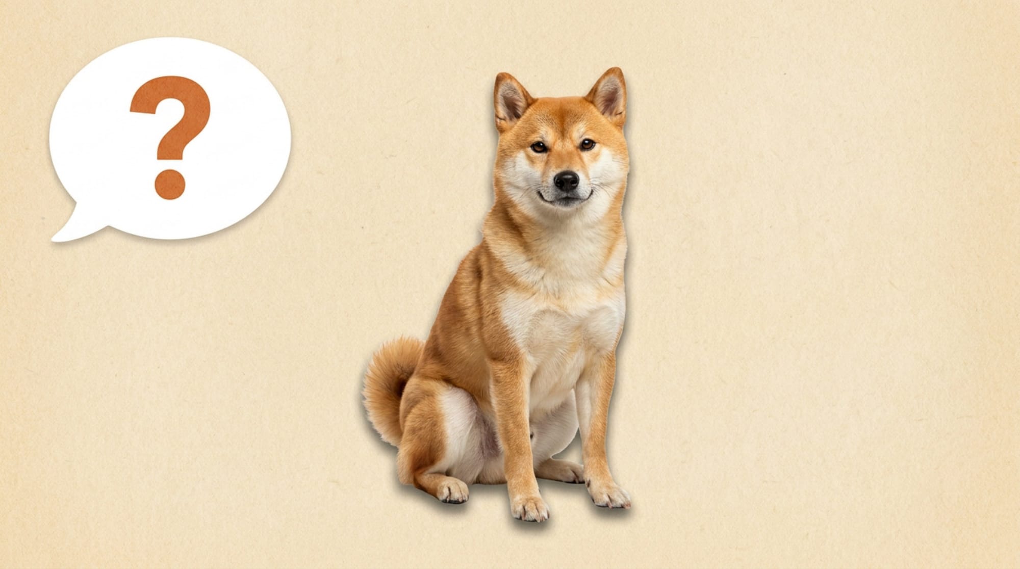NotebookLM 第一節發展活動版：問號頁——柴犬圖片配問號泡泡