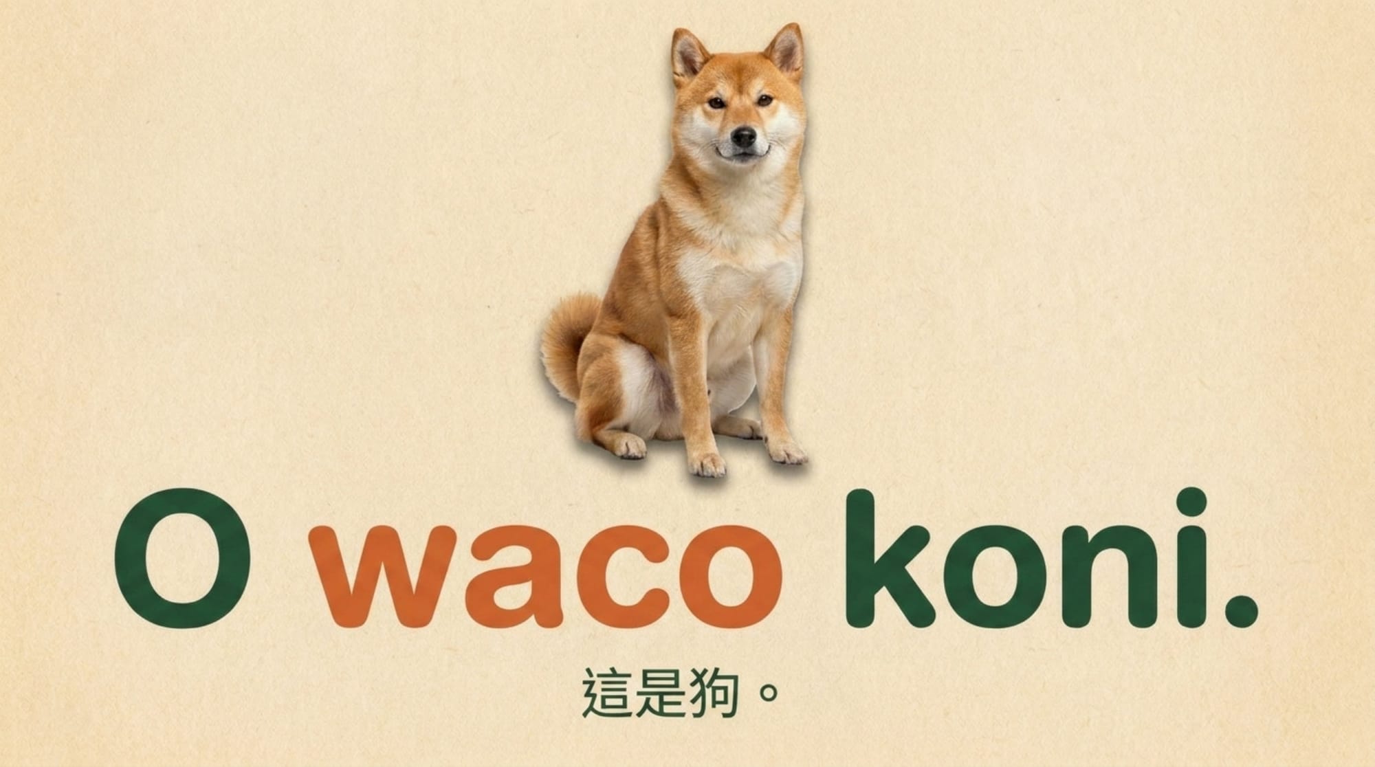 NotebookLM 第一節發展活動版：揭曉頁——O waco koni. 這是狗