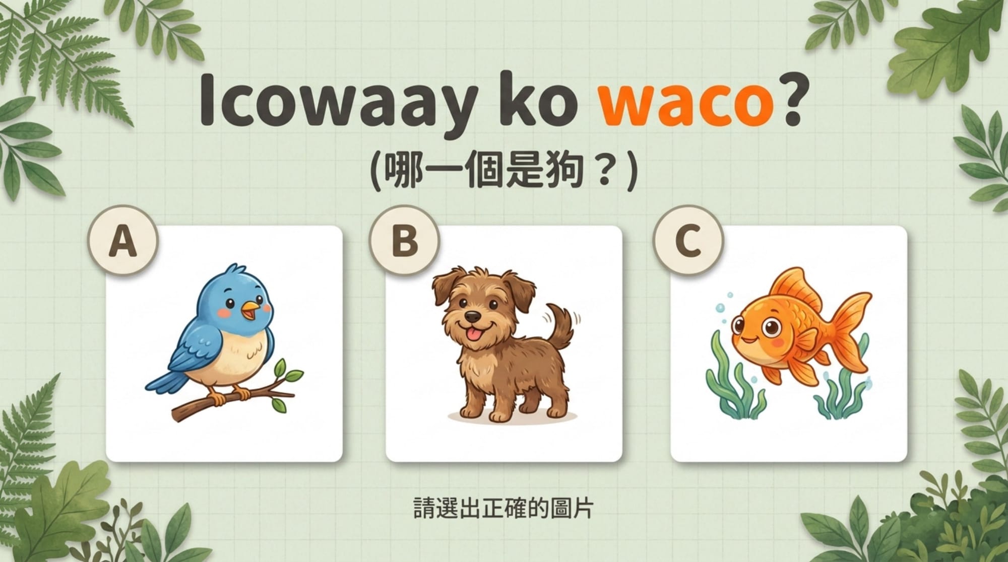 NotebookLM 第二節發展活動版：Icowaay ko waco? 三張卡通圖選一