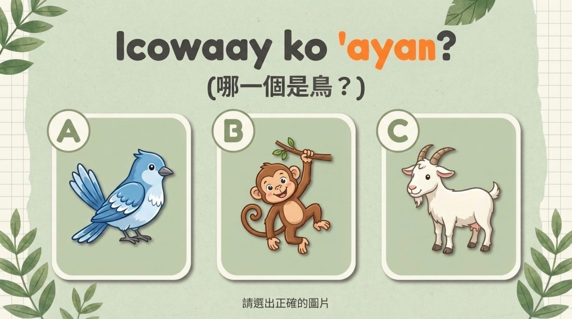 NotebookLM 第二節發展活動版：拼字錯誤頁——'ayam 畫成了 'ayan