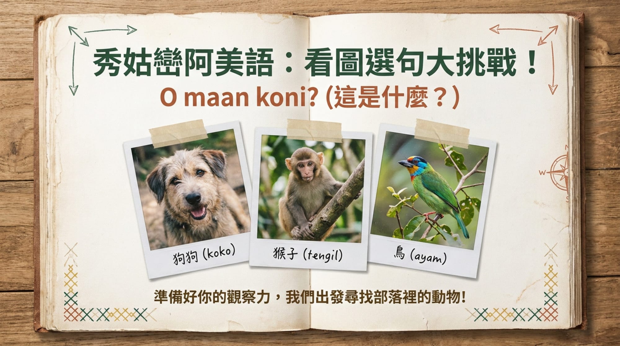 NotebookLM 第三節發展活動版封面：三張拍立得，標籤卻張冠李戴