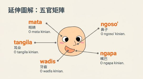 用 NotebookLM 生成《族語 E 樂園句型篇》的簡報＋測驗
