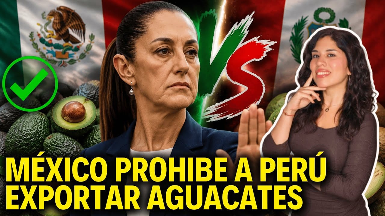 Perú apunta a Asia en la competencia del aguacate mientras México domina el mercado de EE. UU.