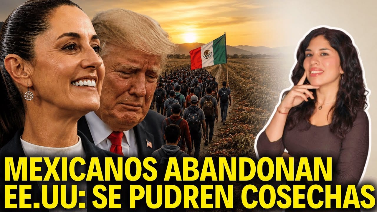 Éxodo de trabajadores en Texas deja campos desiertos y pérdidas millonarias