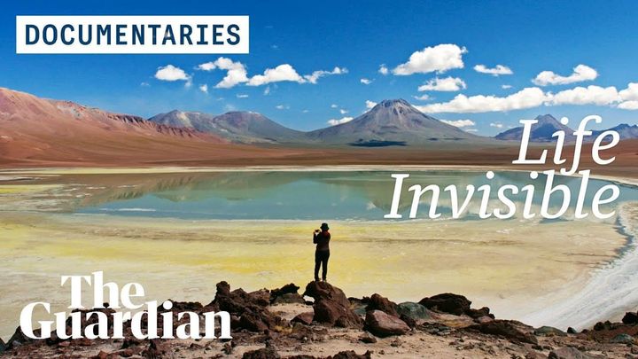 Researchers Explore High-Andean Salt Flats for New Antibiotics to Combat Global Resistance