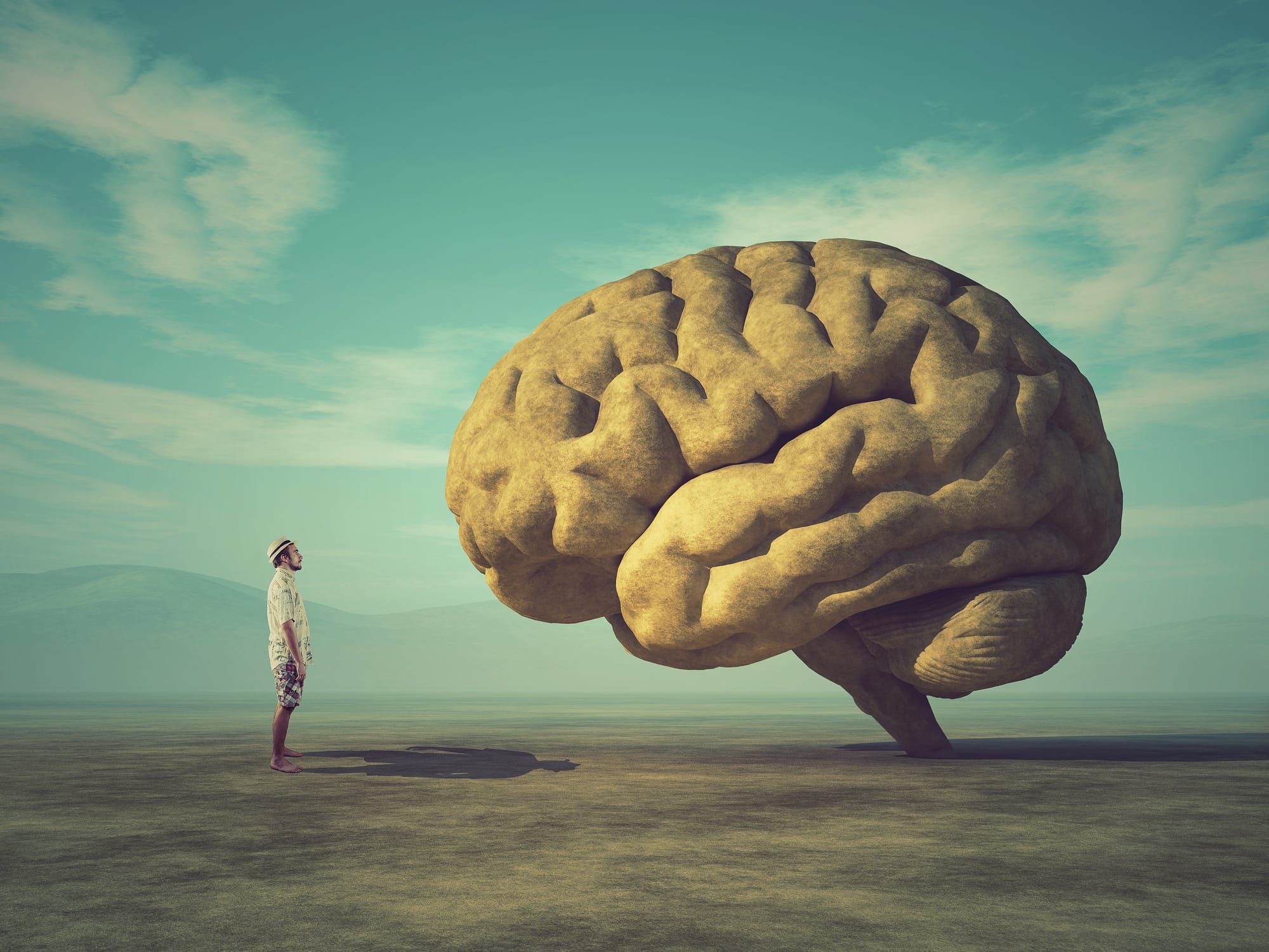 Full of Crap? How to Clean Your Brain Without Losing Your Mind