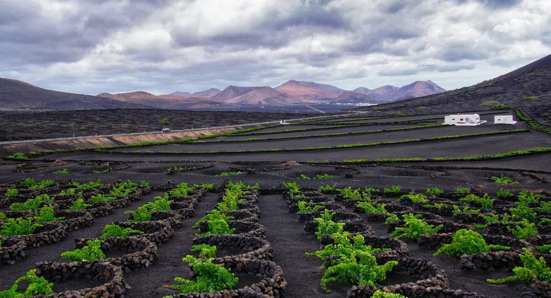 Les vignobles les plus extrêmes au monde