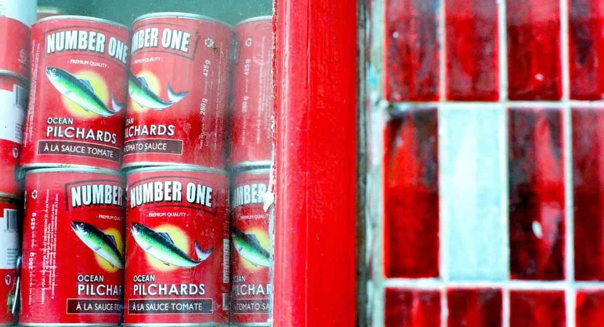 Nos goûts, ils viennent d’où ?