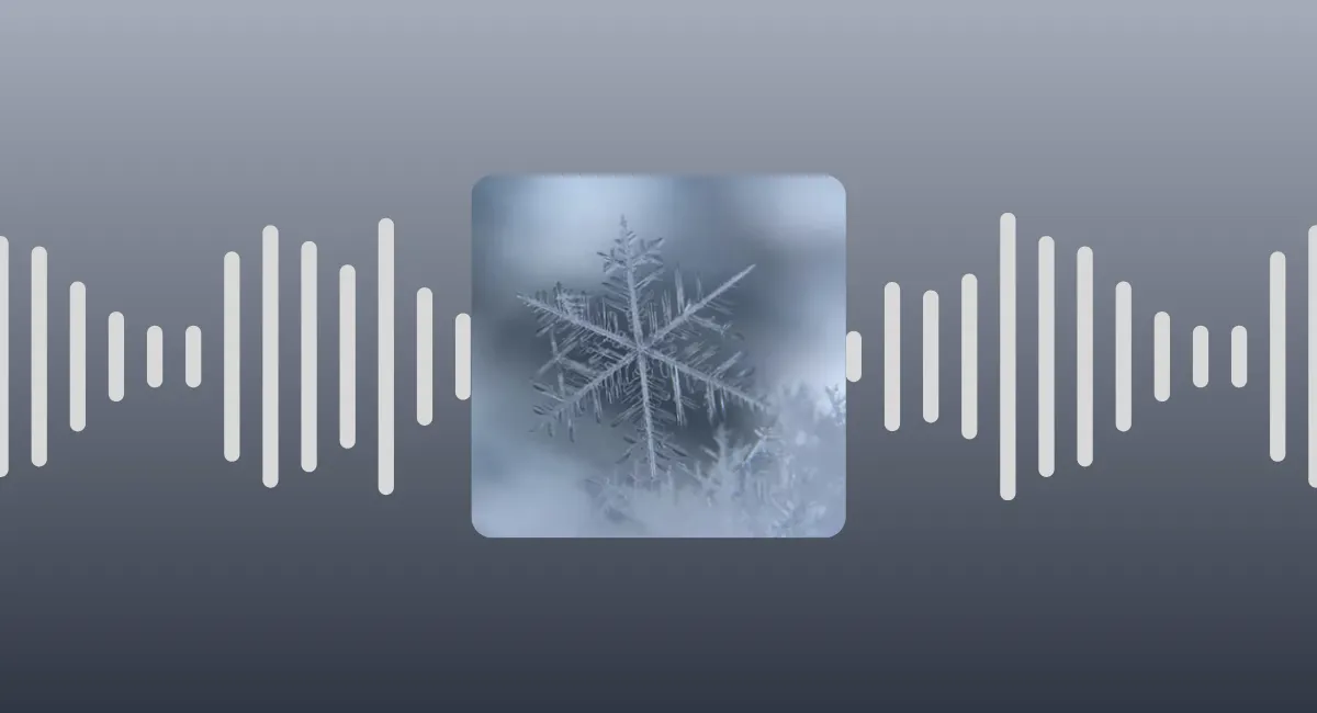 🎙 Saga "Plus belle la vigne" - épisode 8 : la fin de l'année