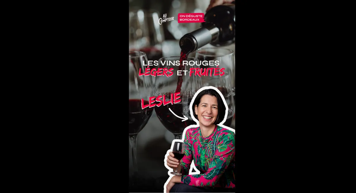 🍷 On déguste Bordeaux - Les vins rouges légers et fruités