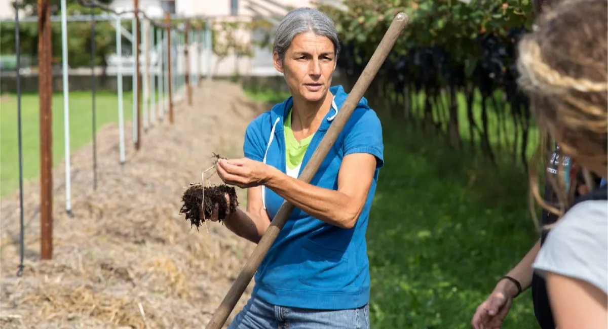 Elisabetta vigneronne