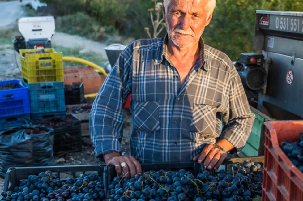 Les vins turcs, encore inconnus au bataillon