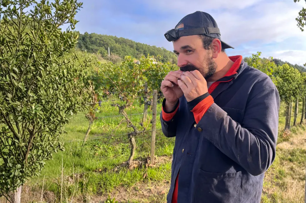 Boris Desbourdes vigneron Chinon