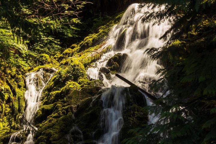 A waterfall in a mossy green rainforest, a long exposure makes the water look smooth.