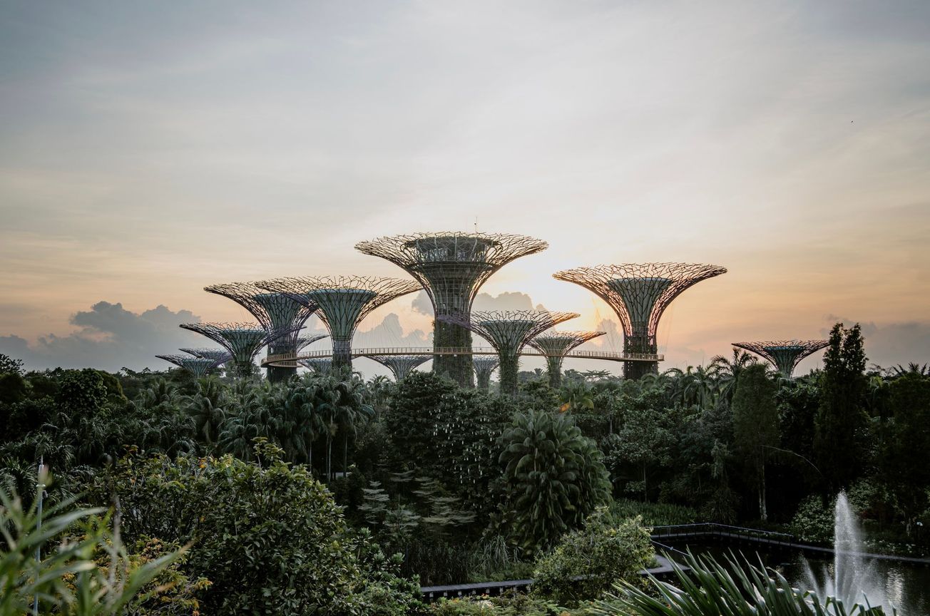 Singapore Blockchain, Crypto Investments Climb in 2022