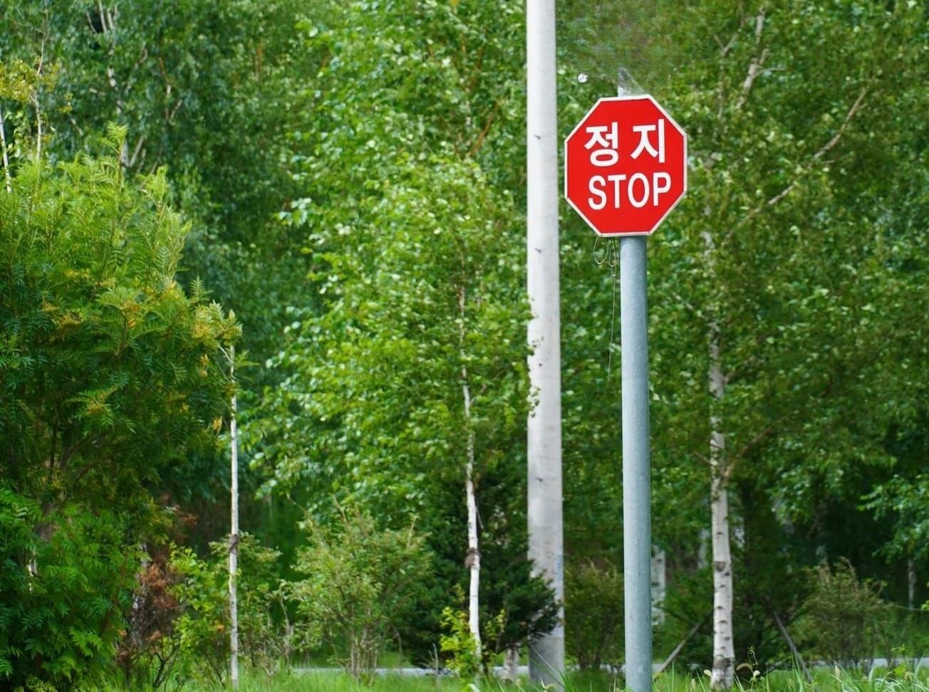 South Korea Suspends Crypto Lending Services After $1.1B in Borrowing Triggers Market Disruption