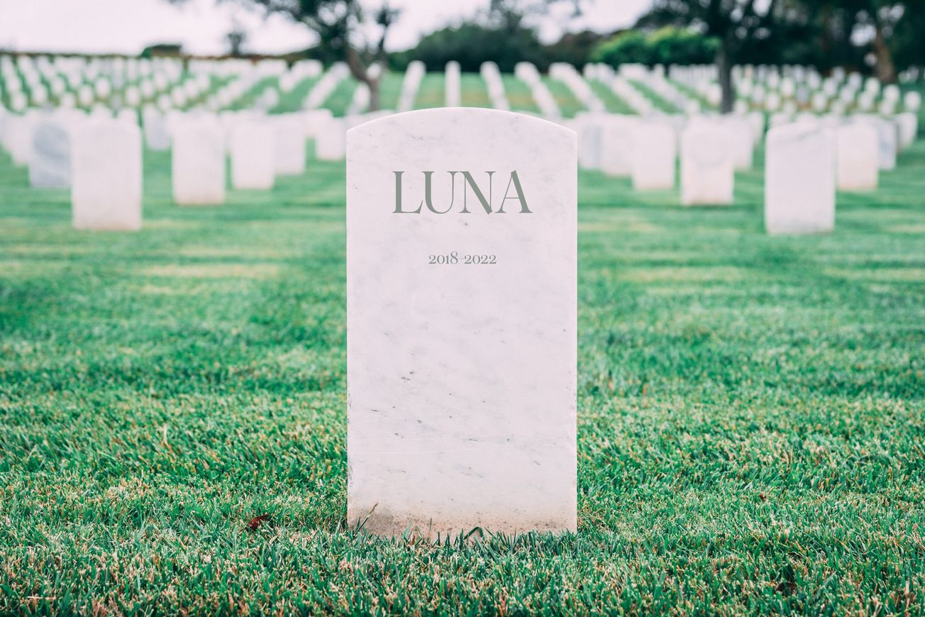 RIP LUNA: Stablecoin Dies Less Than a Week After TerraUSD Depegs