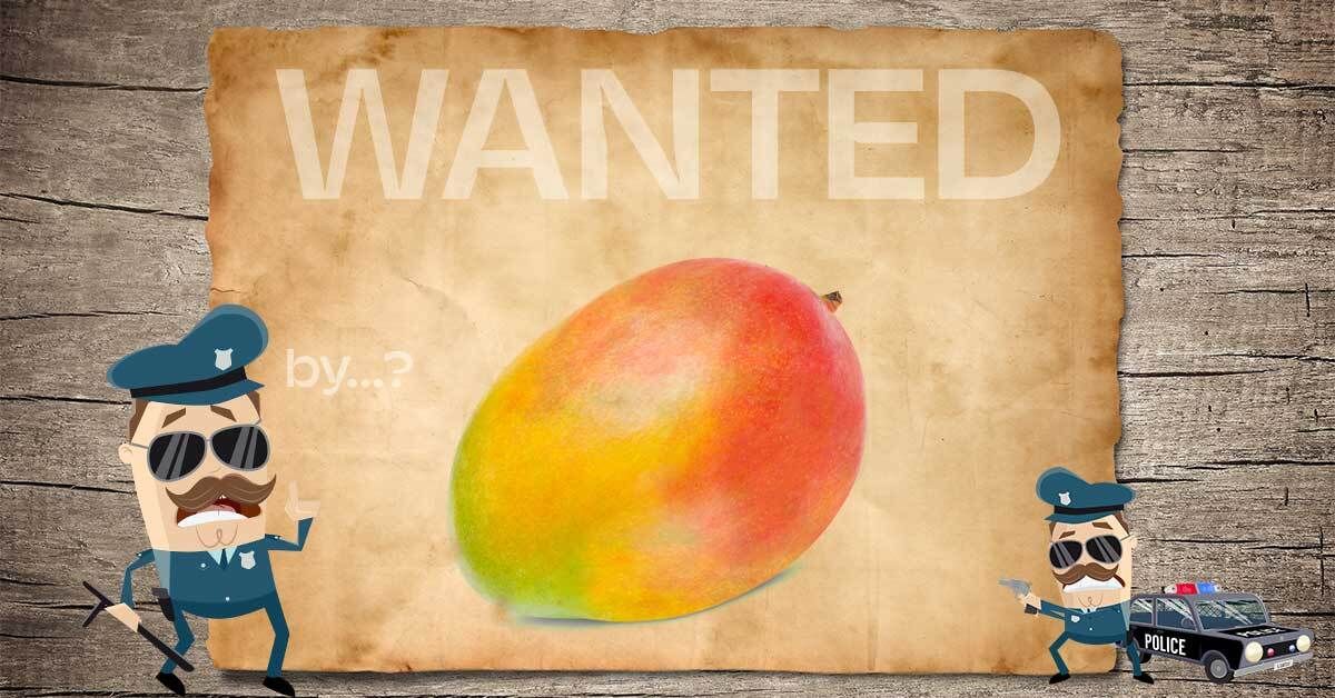 Of Outlaws & Governance in a Decentralized System