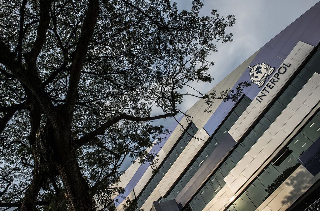 Interpol Joins Fight Against Crypto Crime