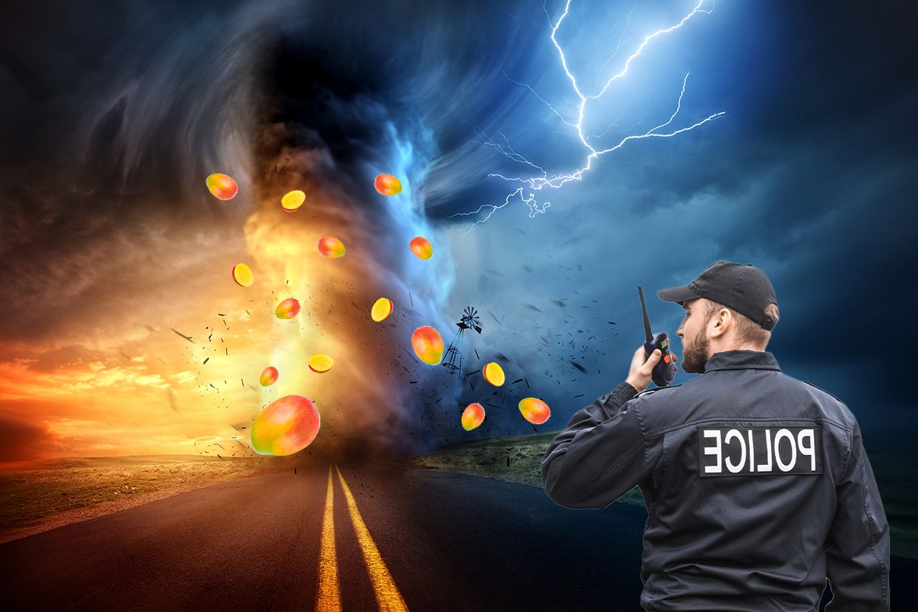 Mango Storm a-Comin’