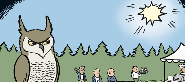 Selling the Sun
