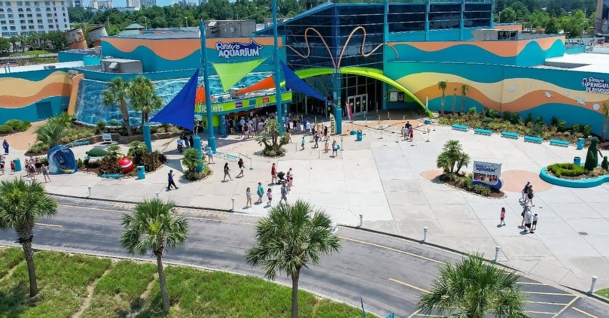The 5 Best Indoor Activities for a Rainy Day in Myrtle Beach Post image