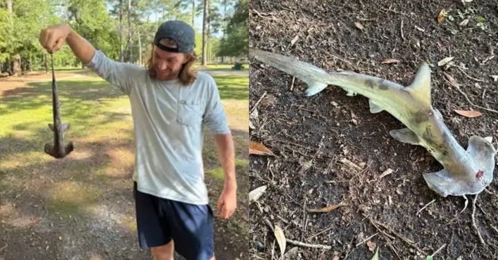 Hammerhead Shark Falls Out of Sky on Disc Golfers in Myrtle Beach