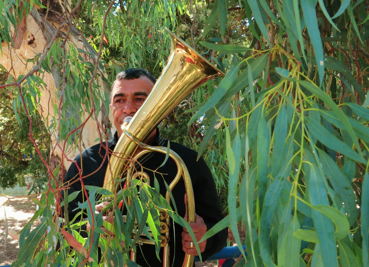 Sulo playing the horn amongst trees