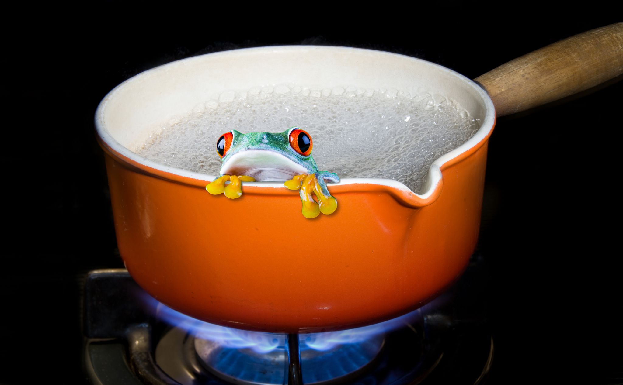 Averting Climate Change Catastrophe is the New Fusion Energy