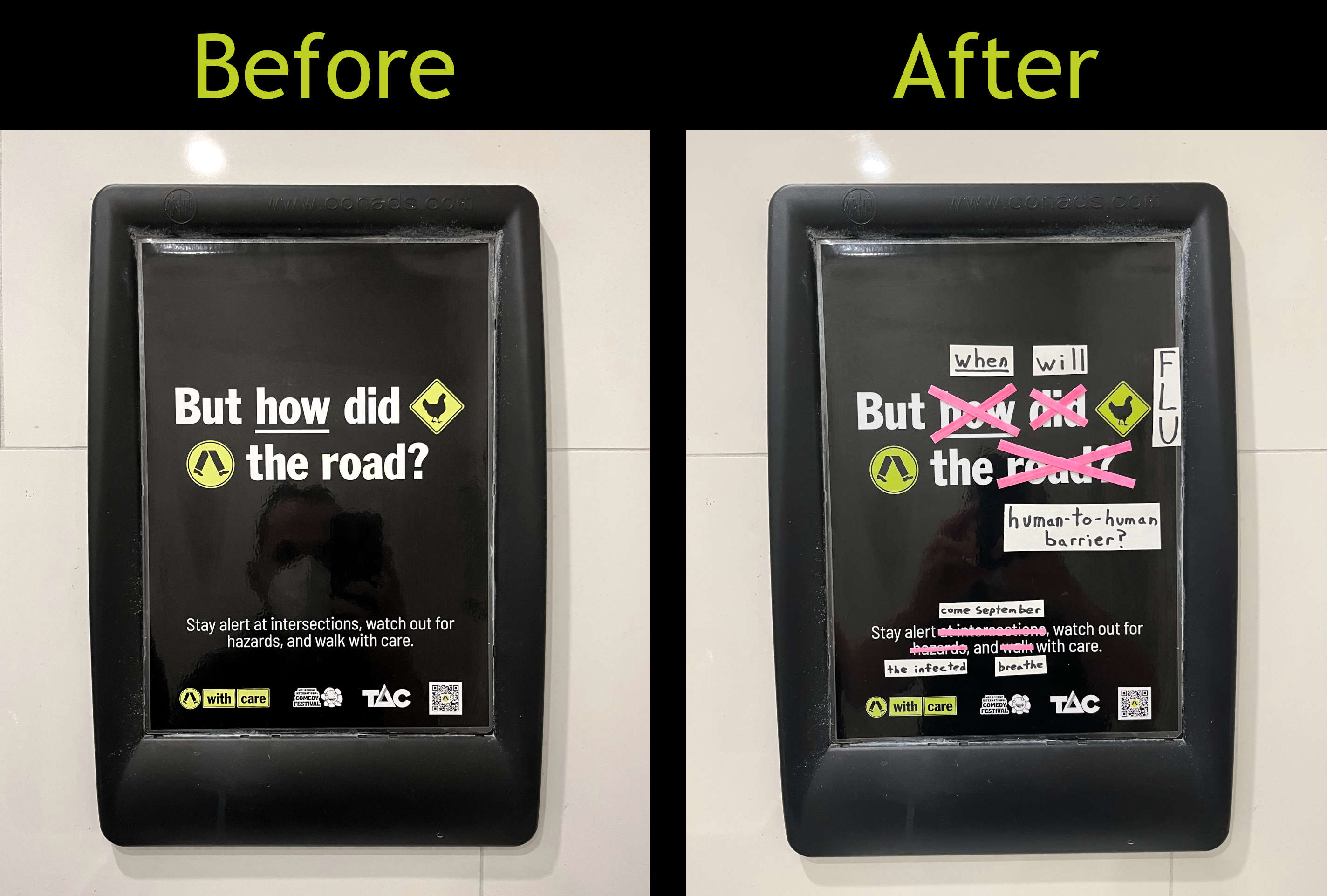 Before/after ad, changed from "But how did the chicken cross the road?" to "But when will chicken flu cross the H2H barrier?"