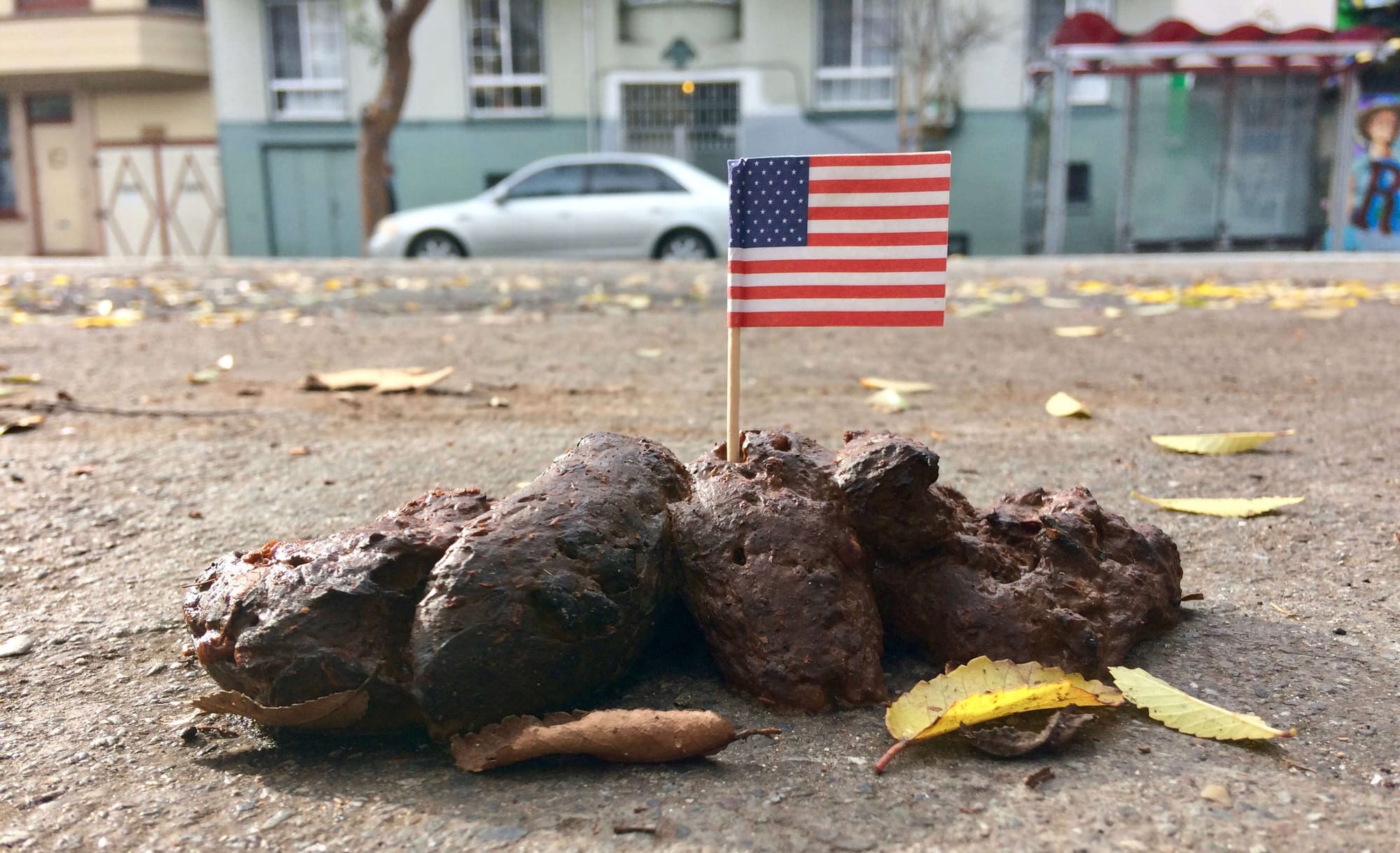 A small American flag with its toothpick-sized "pole" planted into a pile of dog manure