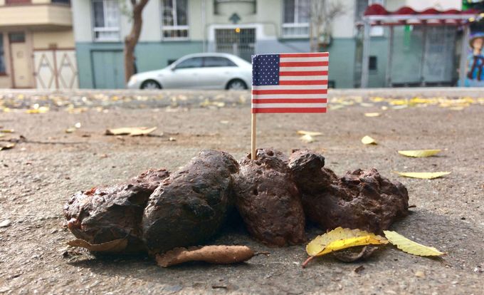 A small American flag with its toothpick-sized "pole" planted into a pile of dog manure