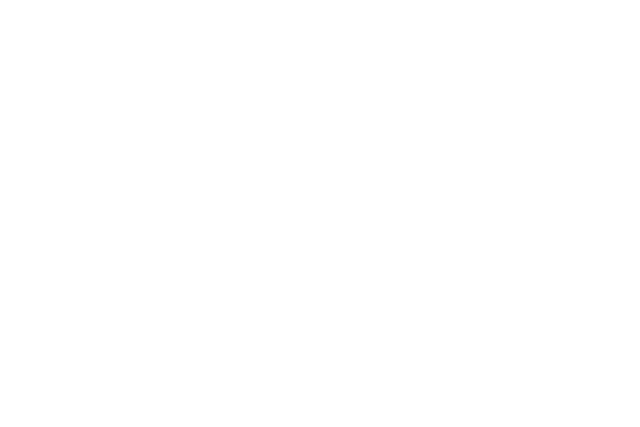 The Iceberg Newsletter