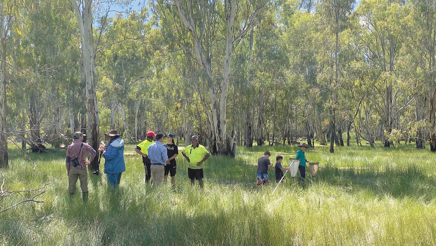 Koondrook–Perricoota Forest Watering Information Session