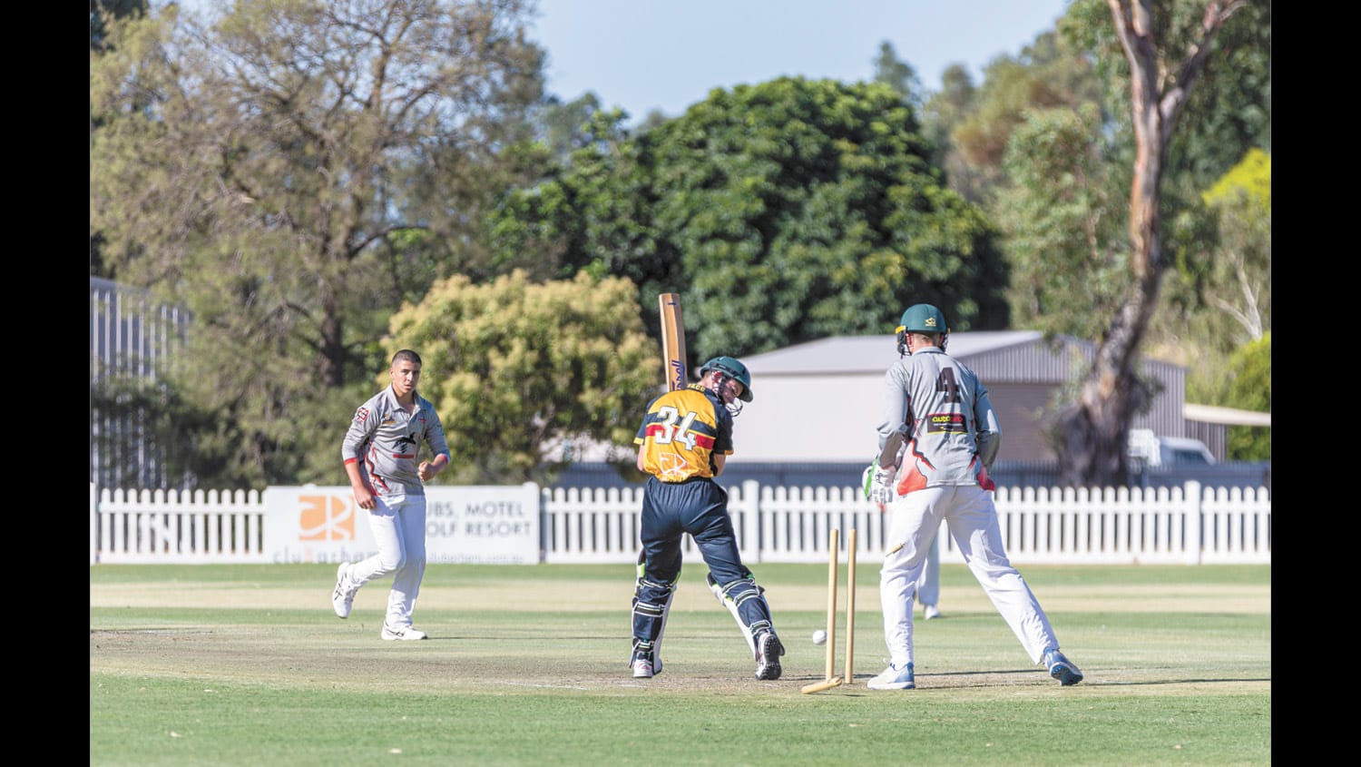 Junior Cricket Returns