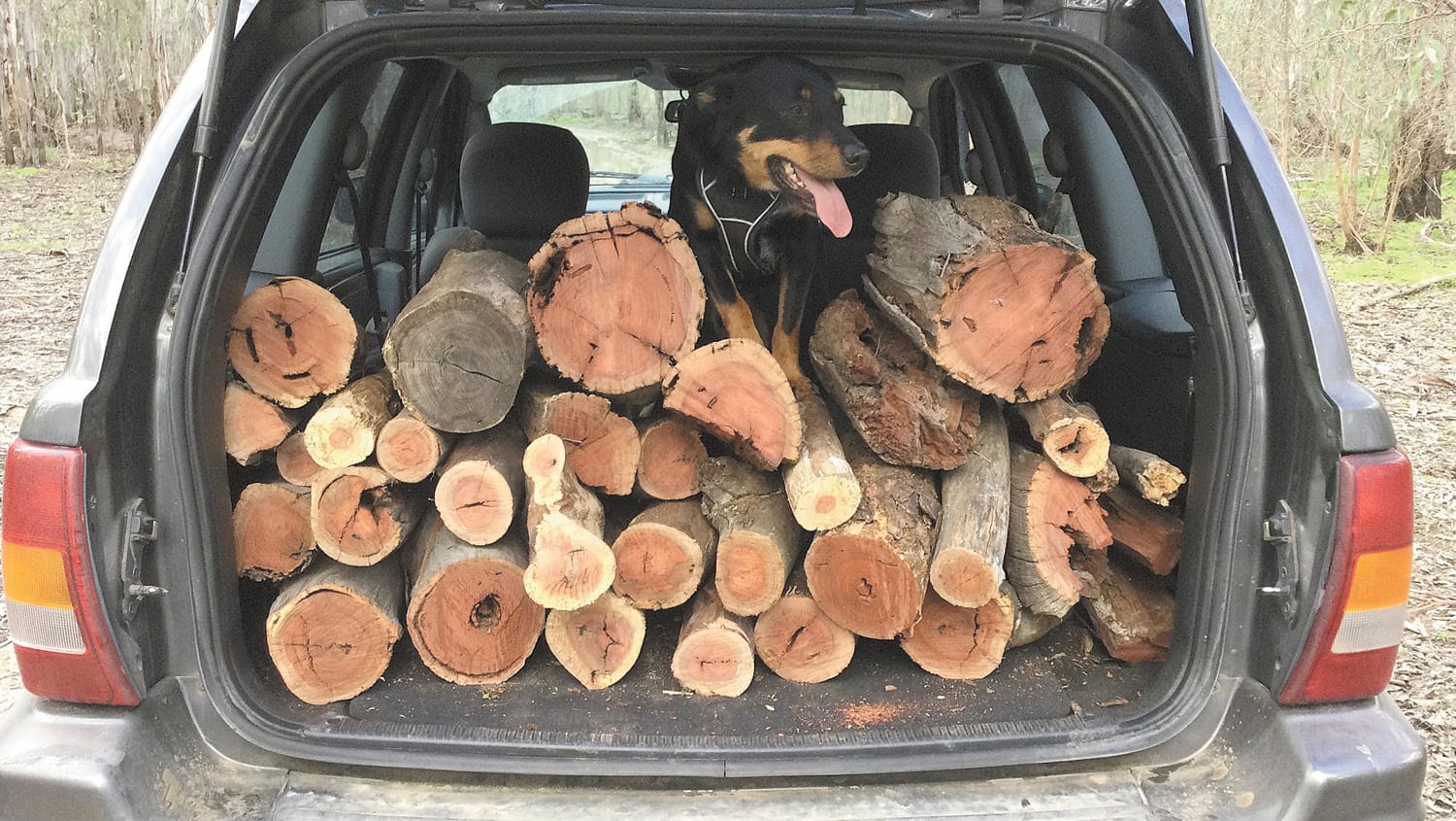 Koondrook Firewood Offence