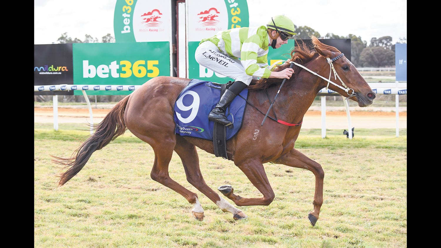 ‘Super Quick Love’ demonstrates budding McNeil talent