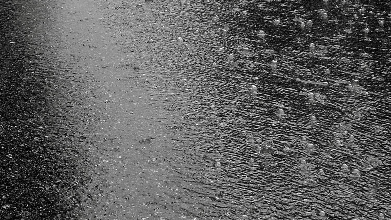Rain Reigns Supreme