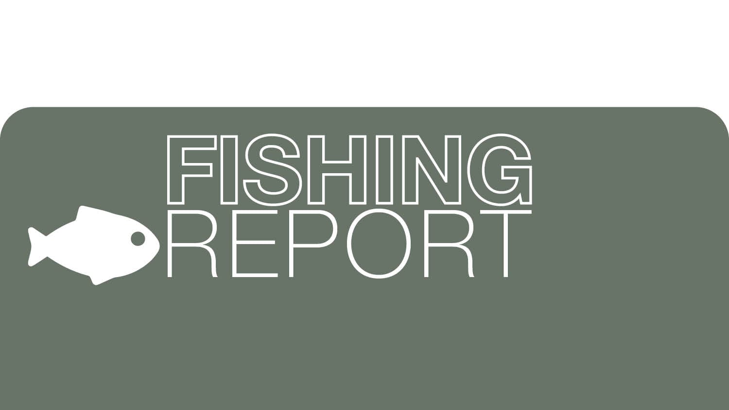 Fishing Report - August 22, 2024