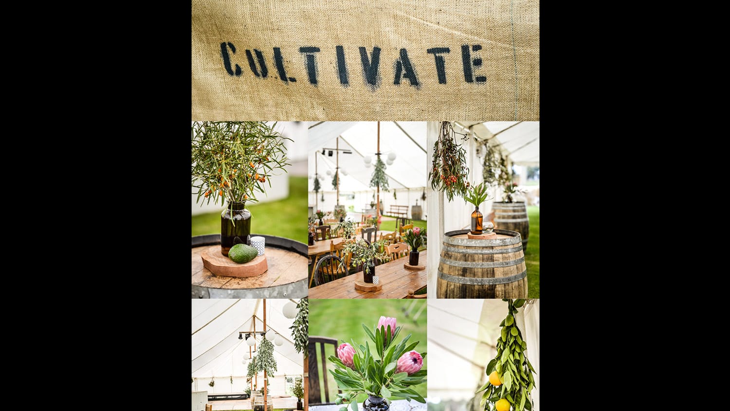 Cultivate Cancelled