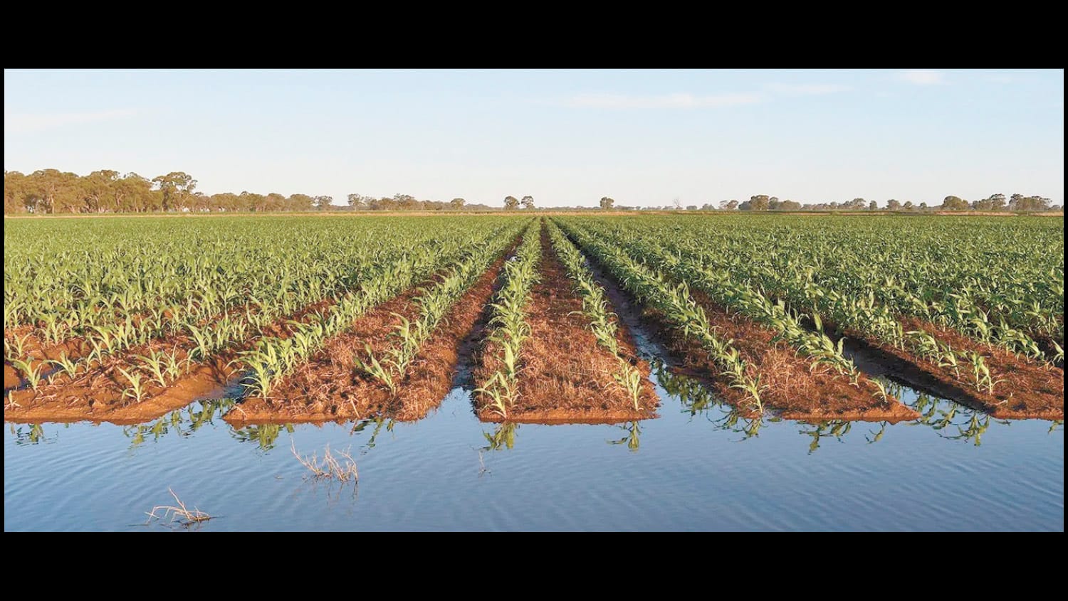 Irrigation Innovation Farm Tour 2025