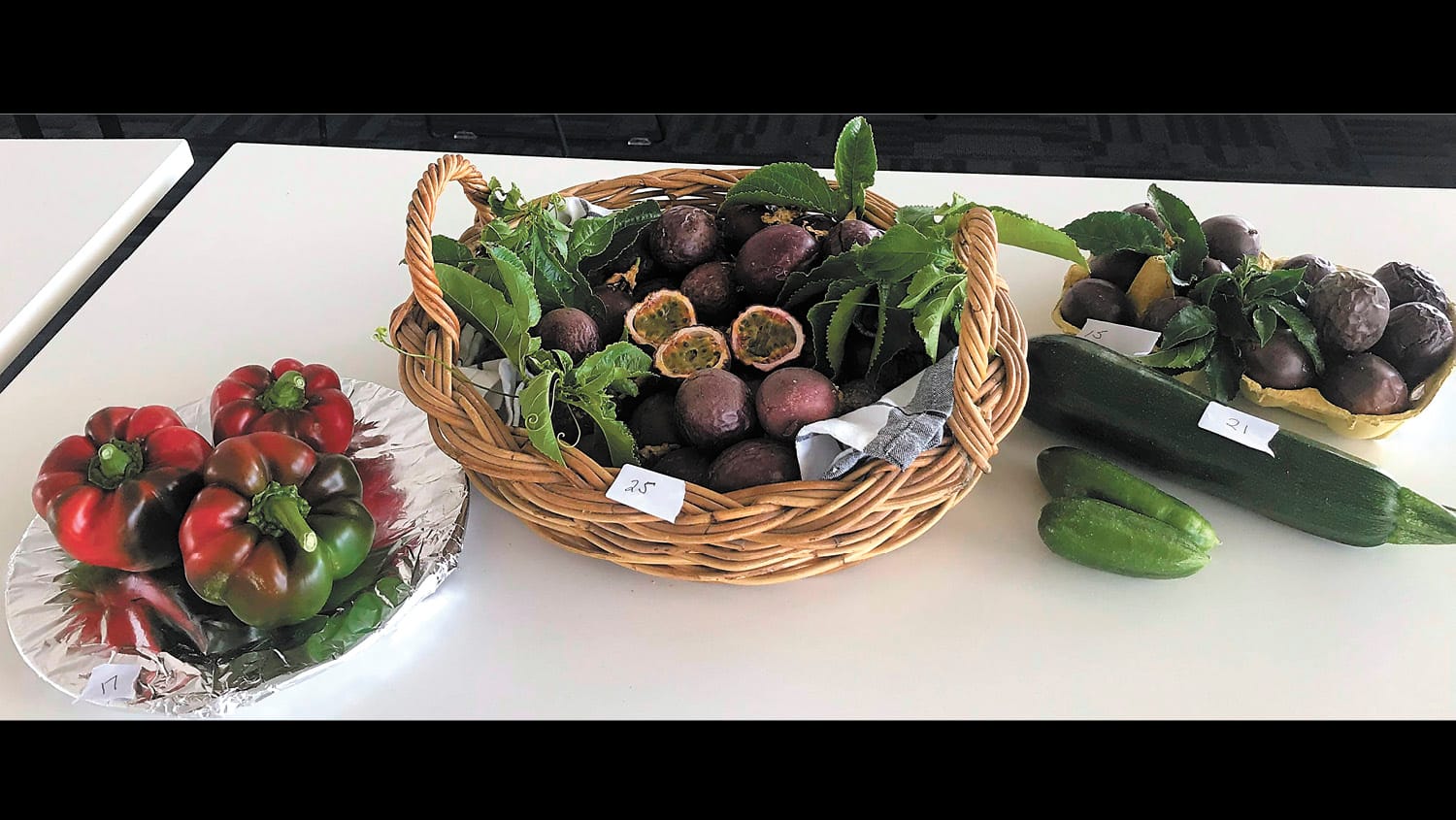 Garden Society - March 23, 2023