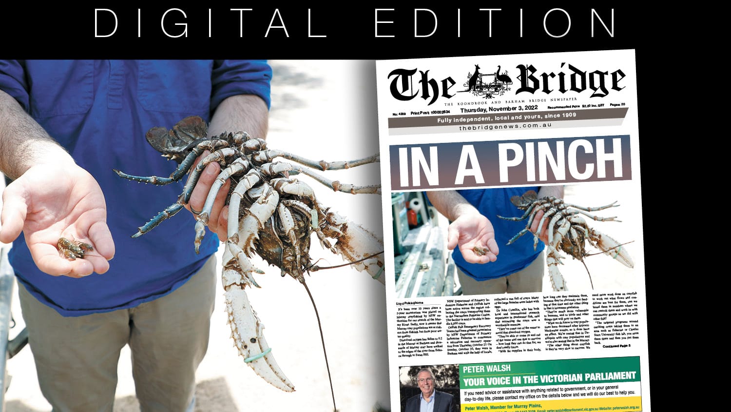 Thursday, November 3, 2022